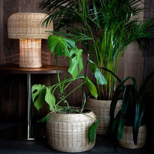 Jo borðlampi - Hugdetta