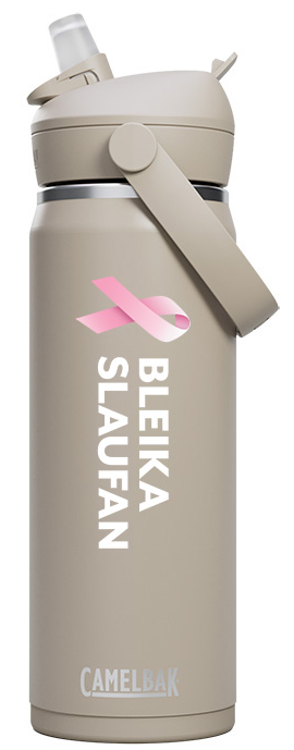 Stálbrúsi frá Camelback