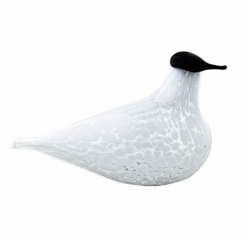 Muurla glerfugl - stór