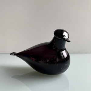 Muurla glerfugl - stór