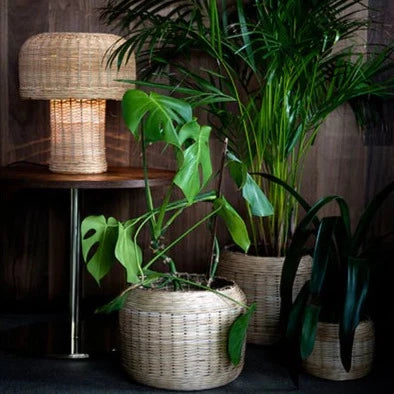 Jo borðlampi - Hugdetta