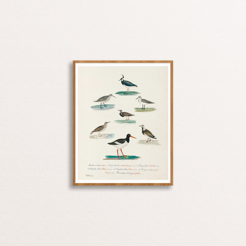 Fuglar Benedikts Gröndal